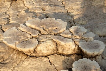 Salt ponds, bubbling chimneys and salt terraces form the bottom of the volcanic crater Dallol, Ethiopia: The Hottest Place on Earth,Danakil Depression,North Ethiopia,Africa