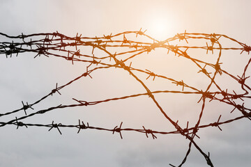 Barbed wire on sunset background