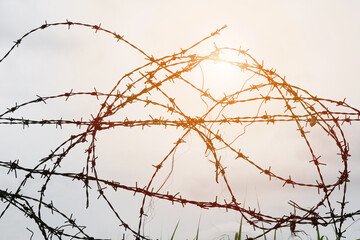 Barbed wire on sunset background