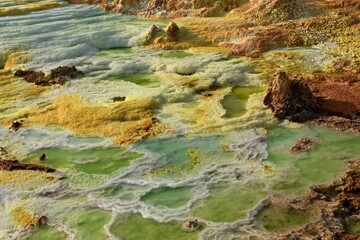 Salt ponds, bubbling chimneys and salt terraces form the bottom of the volcanic crater Dallol, Ethiopia: The Hottest Place on Earth,Danakil Depression,North Ethiopia,Africa