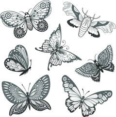 Fototapeta premium Vector Black and White Butterfly Set