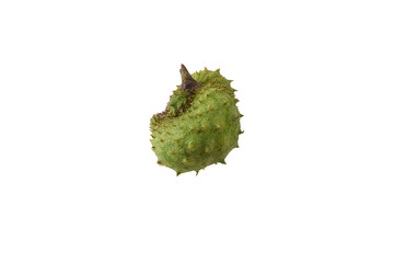 Soursop, isolated from a white background