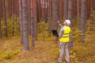 Fototapeta premium Forest engineer works in the forest on a computer. Forest taxation and afforestation.