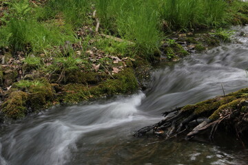 small waterfall in the forest