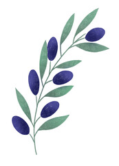 Drawing olive branches on a white background. Menu, restaurant, food, cook, dish, decoration.