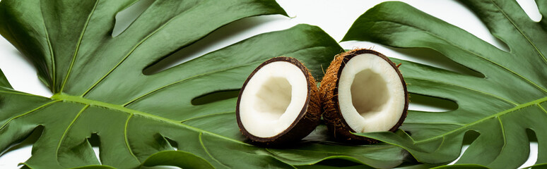green palm leaves and coconut halves on white background, panoramic shot