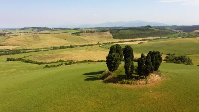 Cypresses in a circle in the Tuscan countryside Orciano Pisano Pisa Italy