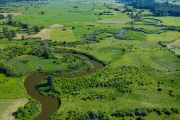 Aerial view of meander of the Wieprz river near Krasnystaw in Poland. - obrazy, fototapety, plakaty