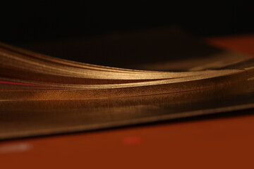 Abstract backgound. Gold (bronze) paper wave on black.