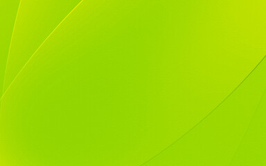 Abstract geometric green and yellow curve line gradient Background. with space for concept design Technology and modern.