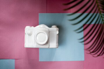 White ceramic camera figurine vintage isolated on pink and blue background with palm leaf. Summer concept. Photograph background.  Copy space. Travel and blogger concept.