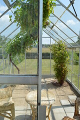 greenhouse with plants