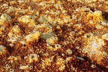 Salt ponds, bubbling chimneys and salt terraces form the bottom of the volcanic crater Dallol, Ethiopia: The Hottest Place on Earth,Danakil Depression.North Ethiopia,Africa