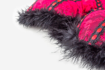 Pink red lace erotic lingerie with black feather of a bird, boa. Close-up, copy space for text