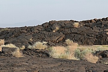 Solid lava from Erta Ale volcano. Affar depression. Ethiopia. Africa.