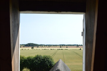 landscape from a window