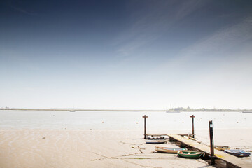 wetland in essex england