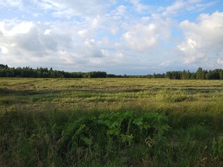 green field and blue sky