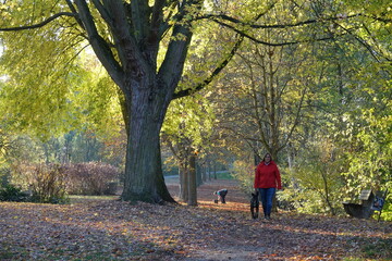 Frau mit Hund im Wald