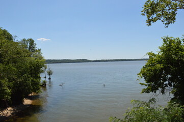 Naklejka premium lake and trees