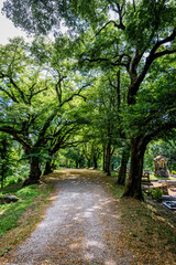 Cimetière du Château de Frontenay