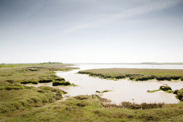 wetland in essex england