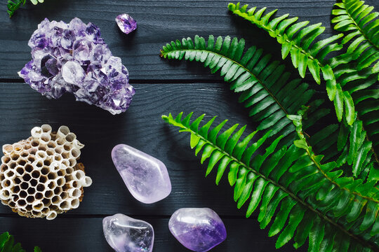 Amethyst with Fern Leaves and Wasp Nest