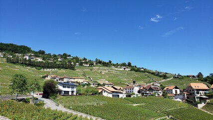 Lavaux Lake and Vineyard countryside