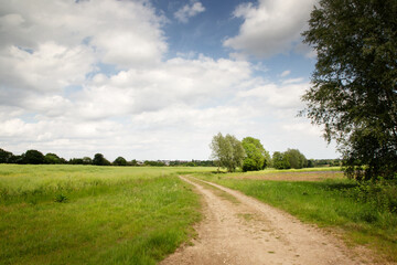 Fototapeta na wymiar roadway along a farmer field