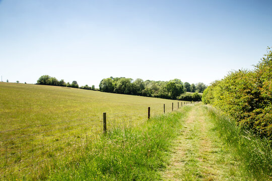 walkway along a farmer field