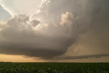 A funnel cloud and inflow jet on a supercell storm.