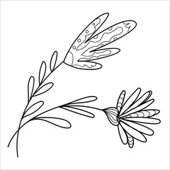 Vector hand drawn doodle outline decorative flowers Isolated on a white background, element for children's coloring, book decorating, scrapbook, card.