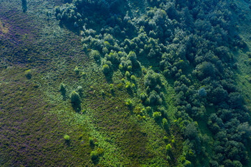 Spring landscape from a drone in the Curro Valley near the Puerto de las Estacas de Trueba. Pasiegos Valleys. Merindades region. Burgos province. Community of Castilla y León. Spain, Europe