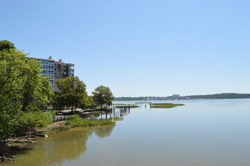 the river in the city