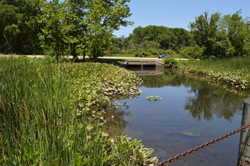 bridge over the river