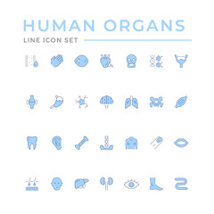 Set color line icons of human organs