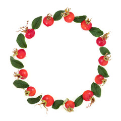 Abstract rosehip wreath with berry fruit and leaves. Immune boosting & high in vitamin c & antioxidants on white background with copy space. Rosa rugosa.