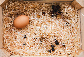 Box with chicken egg, wood shavings and dried rose pieces.