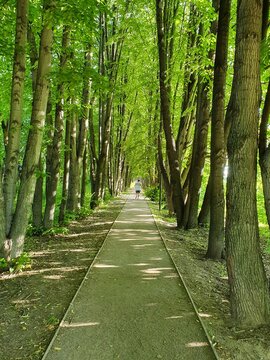 Lone Runner On The Track In The Park