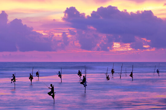 Fishermen on stilts in silhouette at the sunset in Galle, Sri Lanka