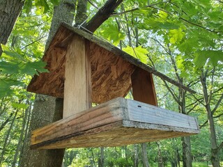 Bird feeder in the park