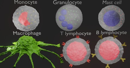 Immune cells in 3d illustration
