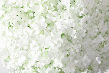 Beautiful flowers composition of white flowers. White hydrangea flowers romantic floral background. Flat lay, top view, copy space