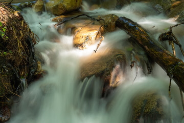 mountain stream flowing fast between stones and branches