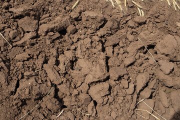large brown clods of plowed land after harvesting wheat, copy space