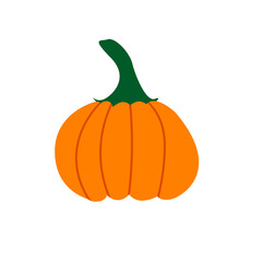 Pumpkin vector flat illustration. Pumpkin for Halloween and thanksgiving day design. Organic autumn vegetables