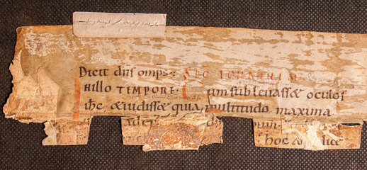A fragment of John's Gospel from the New Testament from a manuscript of the tenth century on vellum