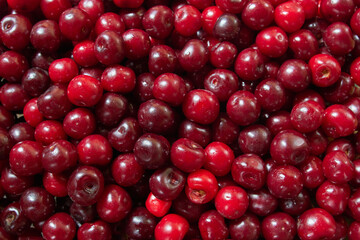 Fresh cherry berries as a background.