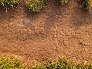 Top view of the soil path on sunny day. Background with dry cracked ground surface and grass on the...
