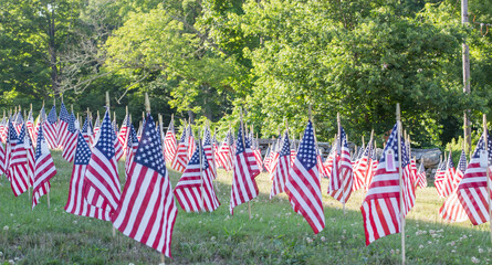american flag field